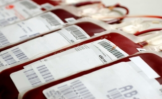 Image of multiple blood bags laid out beside each other lined up in a row 