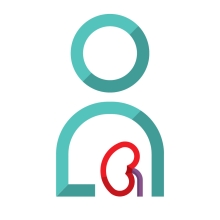 person with a kidney icon