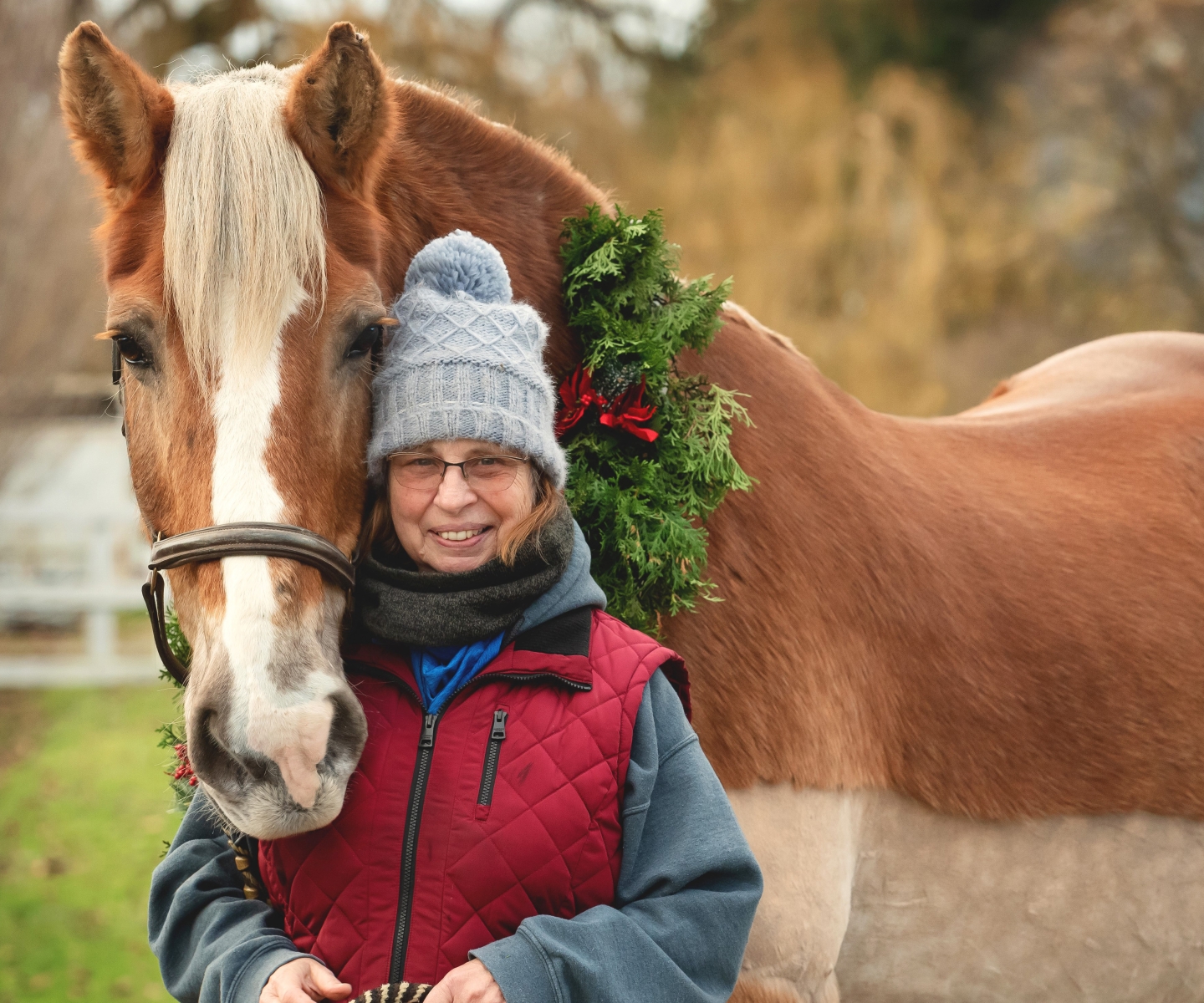 Plasma recipient with horse