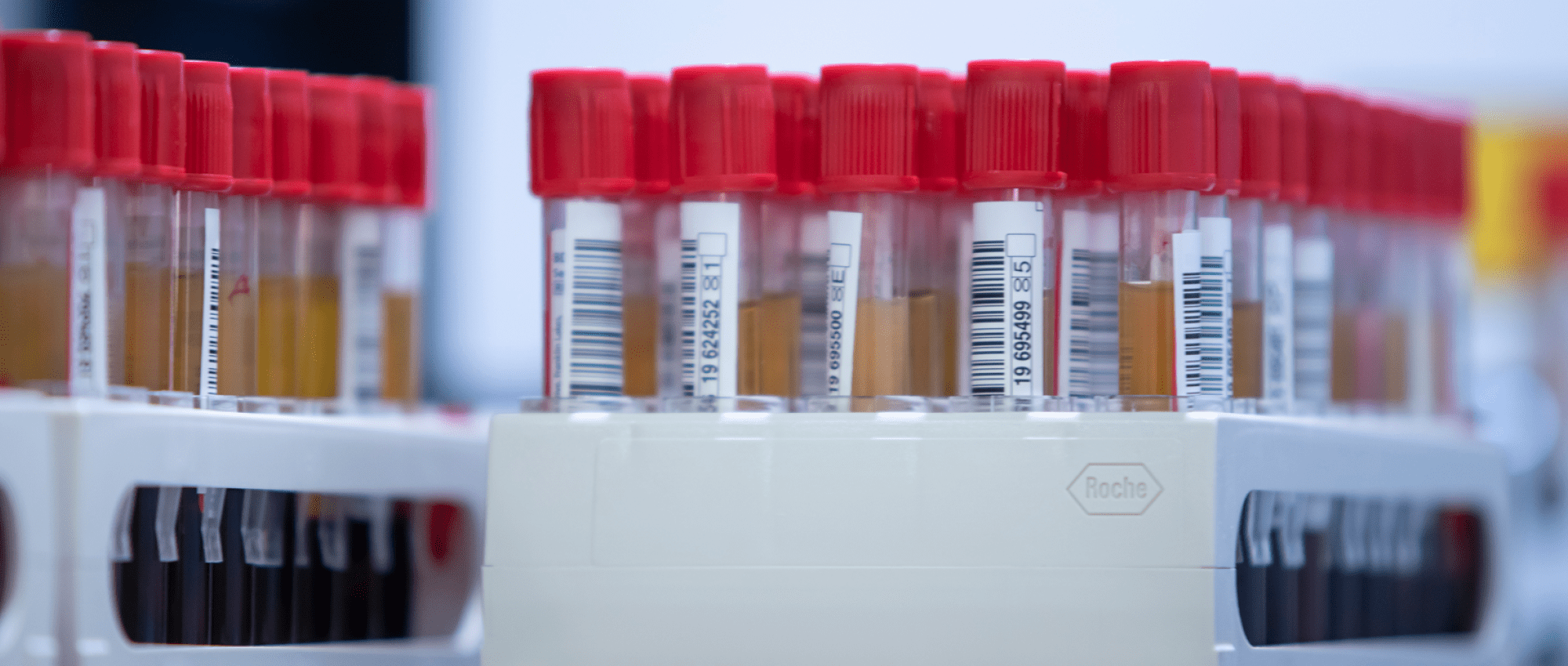 Stories Paragraph Image Blood Samples