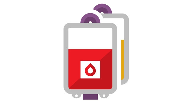 Line drawing of a blood and plasma donation bag